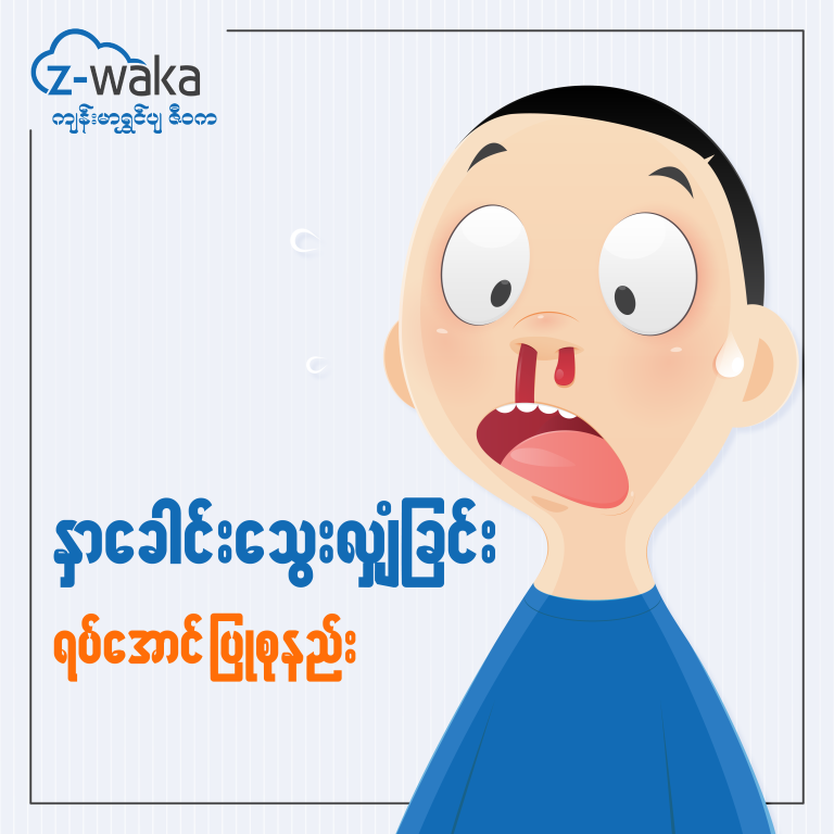 နှာခေါင်းသွေးလျှံခြင်း ကို ရပ်အောင်ပြုစုနည်း